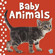 Touch and Feel - Baby Animals