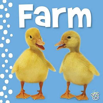 Touch and Feel - Farm - Bicknell, Joanna