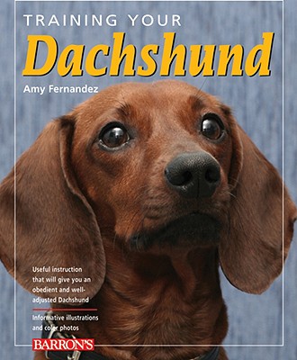 Training Your Dachshund - Fernandez, Amy