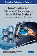 Transformation and Efficiency Enhancement of Public Utilities Systems: Multidimensional Aspects and Perspectives