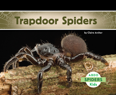 Trapdoor Spiders - Archer