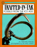 Trapped in Tar: Fossils from the Ice Age - Arnold, Caroline