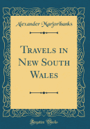 Travels in New South Wales (Classic Reprint)