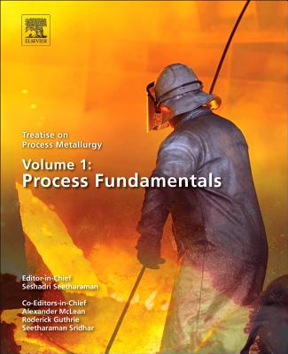 Treatise on Process Metallurgy, Volume 1: Process Fundamentals - Seetharaman, Seshadri (Editor-in-chief)