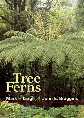 Tree Ferns - Large, Mark F, and Braggins, John E