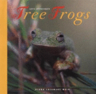 Tree Frogs