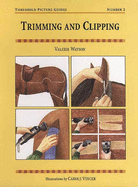 Trimming and Clipping