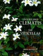 Trouble-Free Clematis: Viticellas