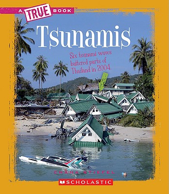 Tsunamis - Stiefel, Chana