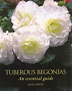 Tuberous Begonias: An Essential Guide