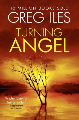 Turning Angel - Iles, Greg