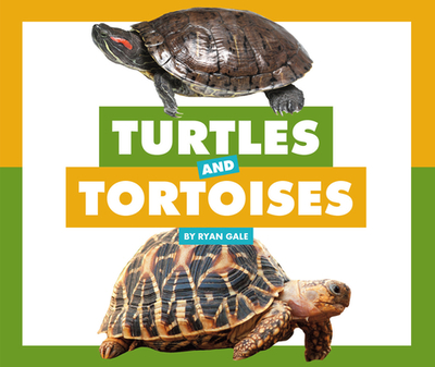 Turtles and Tortoises - Gale, Ryan