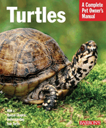 Turtles: Everything about Purchase, Care, and Nutrition