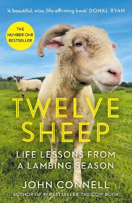 Twelve Sheep: Life lessons from a lambing season - Connell, John