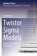 Twistor Sigma Models: Gravity, Amplitudes, and Flat Space Holography