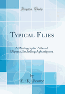 Typical Flies: A Photographic Atlas of Diptera, Including Aphaniptera (Classic Reprint)