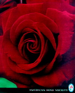 Ultimate Rose