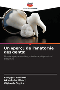 Un aperu de l'anatomie des dents