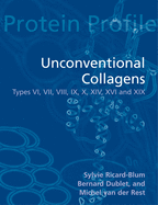 Unconventional Collagens: Types VI, VII, VIII, IX, X, XII, XIV, XVI and XIX