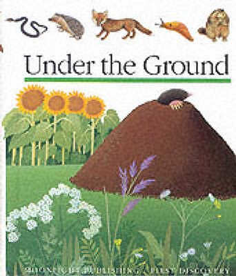 Under the Ground - Bourgoing, Pascale de, and Gallimard, Jeunesse