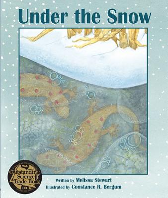 Under the Snow - Stewart, Melissa