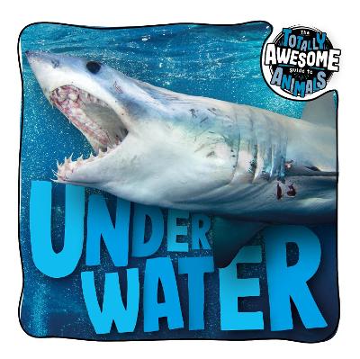 Under Water - McHale, Brenda, and Scase, Dan (Designer)