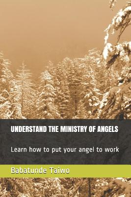 Understand the Ministry of Angels: Learn how to put your angel to work - Taiwo, Babatunde