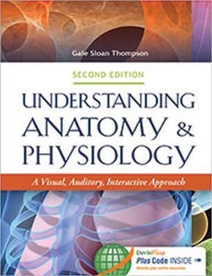 Understanding Anatomy & Physiology: A Visual, Auditory, Interactive Approach: A Visual, Auditory, Interactive Approach - Thompson, Gale Sloan, RN