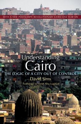 Understanding Cairo: The Logic of a City Out of Control - Sims, David