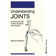 Understanding Joints: A Practical Guide to Joint Function