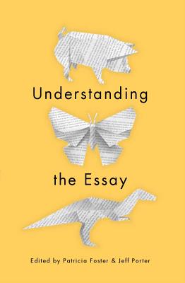 Understanding the Essay - Foster, Patricia (Editor), and Porter, Jeff (Editor)