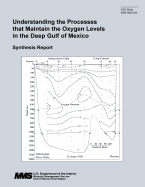 Understanding the Processes that Maintain the Oxygen Levels in the Deep Gulf of Mexico: Synthesis Report