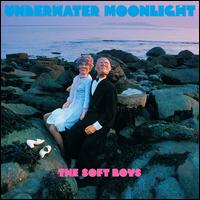 Underwater Moonlight - The Soft Boys