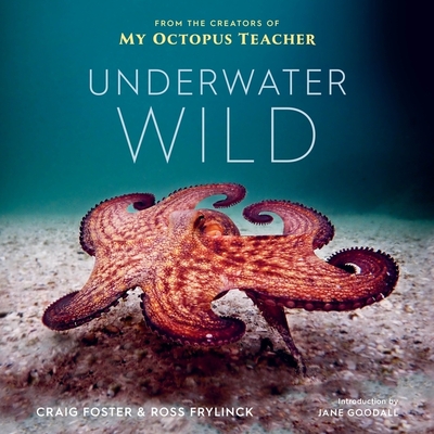 Underwater Wild: My Octopus Teacher's Extraordinary World - Foster, Craig, and Frylinck, Ross