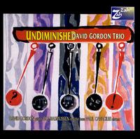 Undiminished - David Gordon Trio