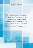 Untersuchungen ber Den Bau Und Die Functionen Des Gehirns, Der Nerven Und Der Sinenswerkzeuge in Den Verschiedenen Classen Und Familien Des Thierreichs (Classic Reprint)