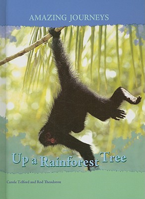 Up a Rainforest Tree - Telford, Carole, and Theodorou, Rod