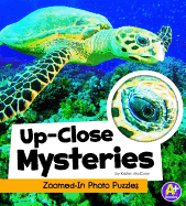 Up-Close Mysteries: Zoomed-In Photo Puzzles