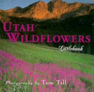 Utah Wildflowers - Till, Tom