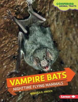Vampire Bats: Nighttime Flying Mammals - Hirsch, Rebecca E
