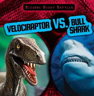 Velociraptor vs. Bull Shark - McAneney, Caitie