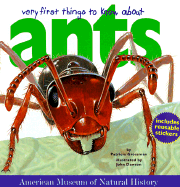 Very First Things to Know about Ants