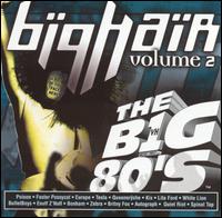 VH1: The Big 80's Big Hair, Vol. 2 - Various Artists