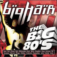 VH1: The Big 80's Big Hair - Various Artists