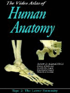 Video Atlas of Human Anatomy: Tape 2 the Lower Extremity (Video) [Vhs]