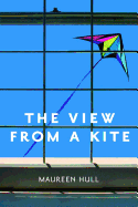 View from a Kite