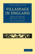 Villainage in England: Essays in English Mediaeval History