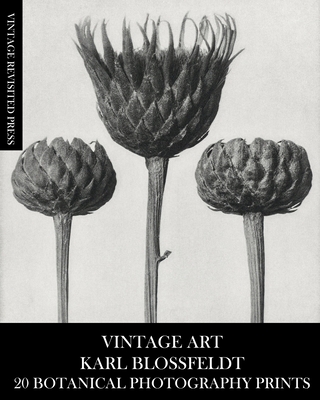 Vintage Art: Karl Blossfeldt 20 Botanical Photography Prints - Press, Vintage Revisited