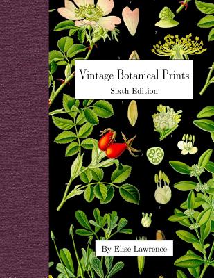 Vintage Botanical Prints: Sixth Edition - Lawrence, Elise