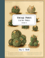 Vintage Prints: Cactus Prints